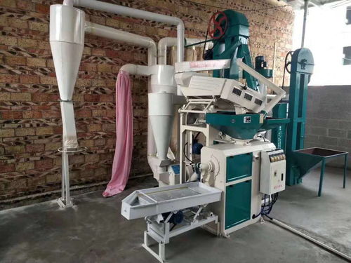 新型組合碾米機 小空間大作為，平穩運行鑄就精品
